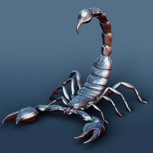 Meet your Posher, Raymond